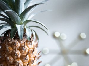 pinatex made from pineapples